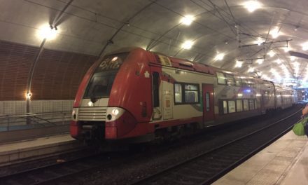 The Monaco TER: too rare to be a model train